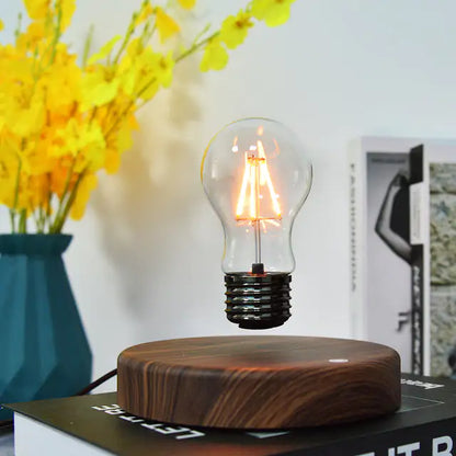 LIMITED Vintage Levitating Bulb