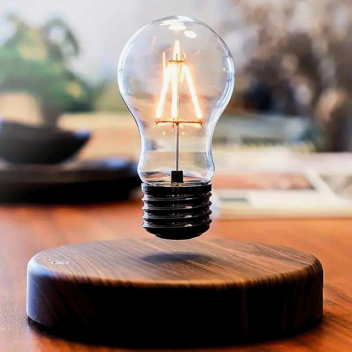 LIMITED Vintage Levitating Bulb